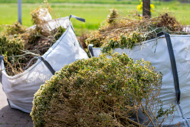 Best Electronics Removal Services  in Healdton, OK